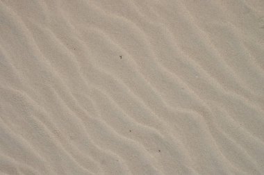 Dalgalı deniz kumu arka planı. Üst görünüm. 