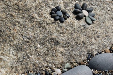 Taş yüzeydeki taşlardan yaratılmış bir çiçek..