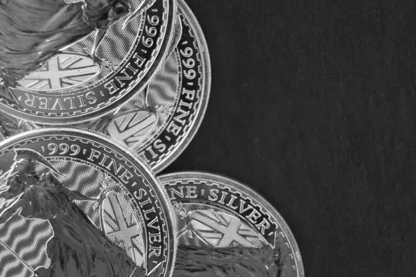 Ασημένια Επενδυτικά Νομίσματα Βρετανίας Αργυρά Νομίσματα Σκούρο Φόντο Royalty Free Εικόνες Αρχείου