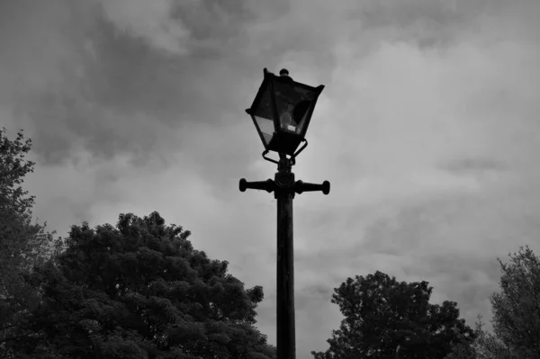 Antique lantern in the park. Black and white image.