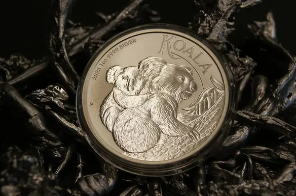 Avustralya saf gümüş yatırım madeni parası 1 dolar Koala 2023 yakın çekim.