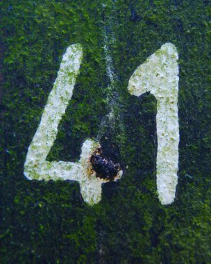 41 numara, siyah arka planda beyaz numara. Siyah beyaz eski bir fotoğraf.