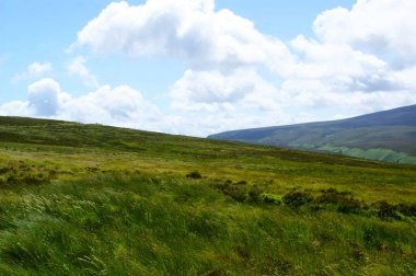 Wicklow Dağları Yazın İrlanda, güzel dağ manzarası