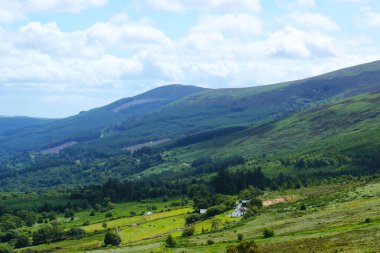 İrlanda 'daki Wicklow dağlarında Mountainside, güzel dağ manzarası
