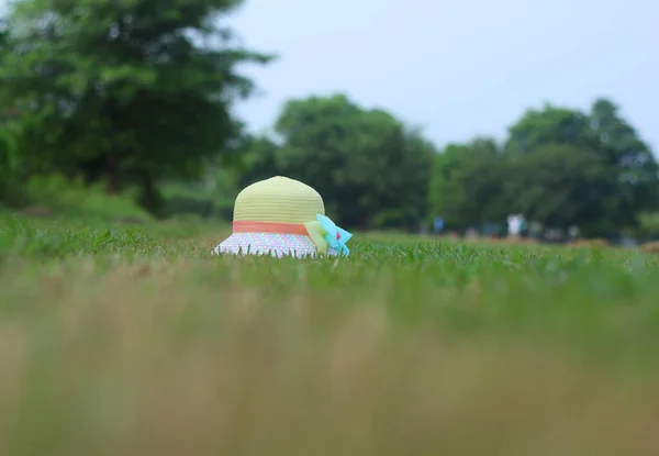 緑の草の上の女性の帽子 — ストック写真
