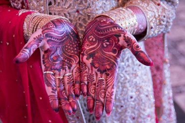 Eller veya eller için popüler Mehndi tasarımlar Mehandi Hint gelenekleri ile boyalı