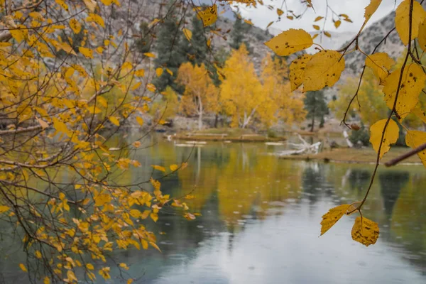 Autumn Landscape Trees Lake Mountains — 图库照片