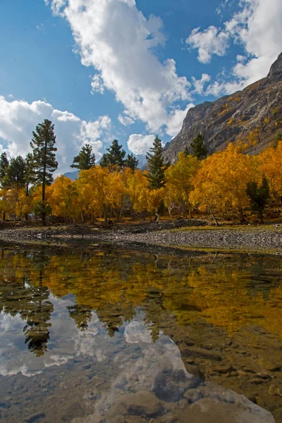 美丽的秋天风景 有树木和湖泊 — 图库照片