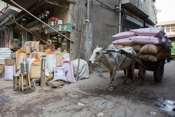 ラホールパキスタンの城壁都市にある伝統的なバザー市場でのスパイスショップ — ストック写真