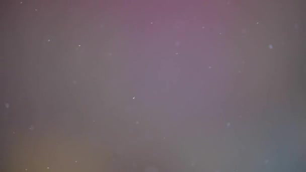 Falling Snow Blurred Background Winter Fabulous Season — Stock Video