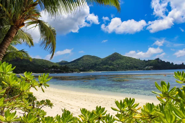 Вид Пляж Бай Лазар Рядом Отелем Фелински Остров Маэ Сейшельские — стоковое фото
