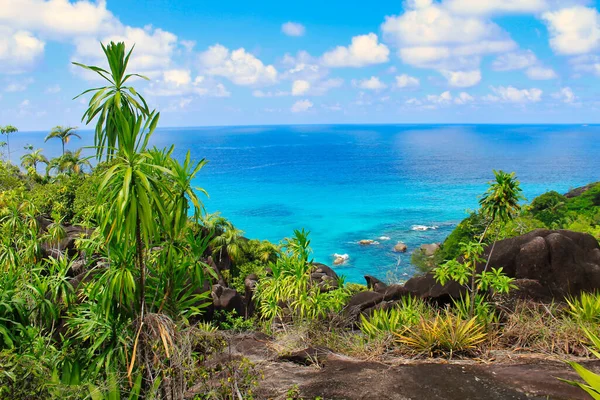 Кристально Чистые Голубые Воды Побережья Анс Мейджора Острове Маэ Сейшельские — стоковое фото