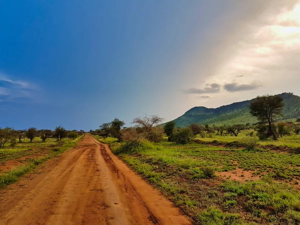 Avond Uitzicht Safari Routes Serengeti National Park Tanzania — Stockfoto