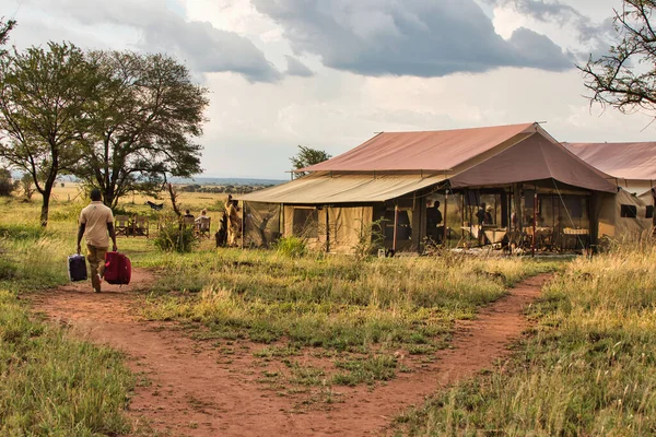Сафари Лагерь Кати Кати Территории Национального Парка Серенфели Танзания — стоковое фото