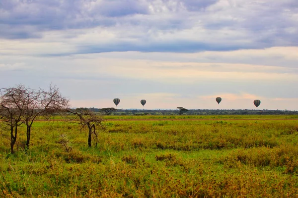 Uitzicht Baloon Safari Avond Serengeti National Park Tanzania — Stockfoto