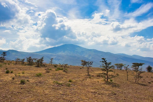 Пик Лулмаласин Высоте Танзании 3500 Возле Заповедника Нгоронгоро Танзания — стоковое фото
