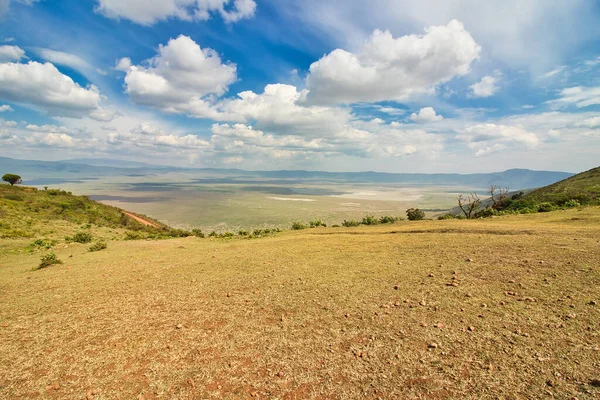 Una Vista Del Cráter Ngorongoro Por Tarde Tanzania — Foto de Stock