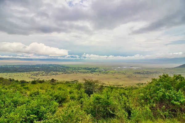 Sebuah Panoroma Dari Lantai Kawah Dari Kawah Ngorongoro Tanzania — Stok Foto