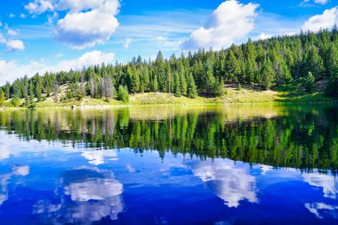 Beş Göl Bölgesi Vadisi 'ndeki el değmemiş bir göl Kanada' nın dağlarında Jasper yakınlarında.