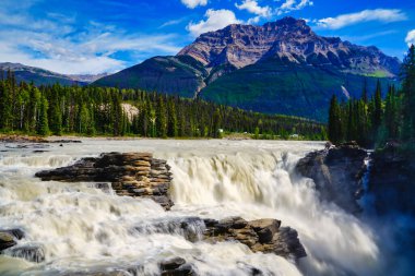 Edith Cavell Dağı muhteşem Athabasca 'nın çalkantılı sularının 3363 metre yüksekliğindeki kuleleri Kanada Kayalıkları' nda Jasper yakınlarına düşer.
