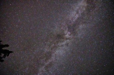 Samanyolu Galaksisi, Kanadalı kayalıklarda Jasper 'daki karanlık gökyüzü koruma alanının üzerindeki bu çarpıcı gecede çekildi.