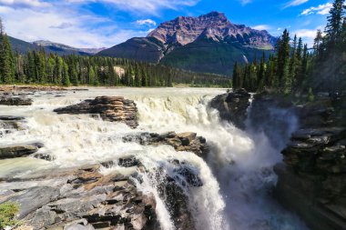 Edith Cavell Dağı muhteşem Athabasca 'nın çalkantılı sularının 3363 metre yüksekliğindeki kuleleri Kanada Kayalıkları' nda Jasper yakınlarına düşer.