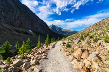 İzler Kanada kayalıklarında Jasper yakınlarındaki Edith Cavell buzuluna gidiyor.