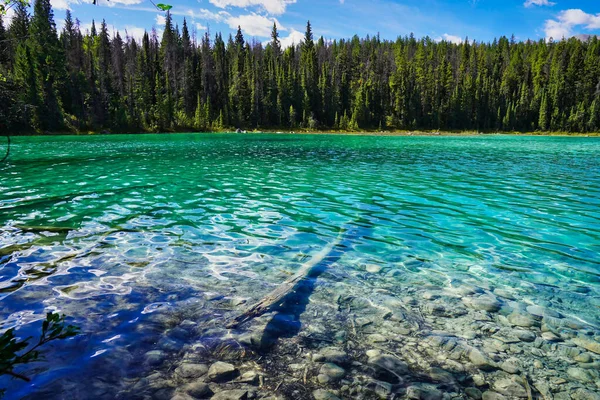 Kristálytiszta Smaragd Zafír Színű Vizek Valley Five Lakes Régióban Jasper — Stock Fotó