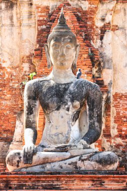 Wat Mahathat 'daki Buda heykeli, Ayutthaya, Tayland