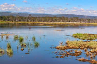 Nakuru Gölü sulak alanları Kenya 'da 300' den fazla kuş türü ve hayvan için ana yaşam alanıdır.
