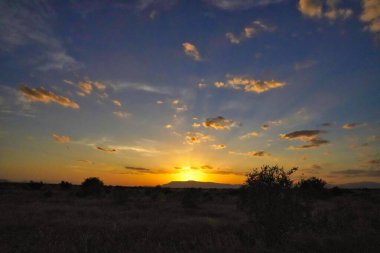 Tsavo Ulusal Parkı, Kenya, Afrika 'da altın bir günbatımı