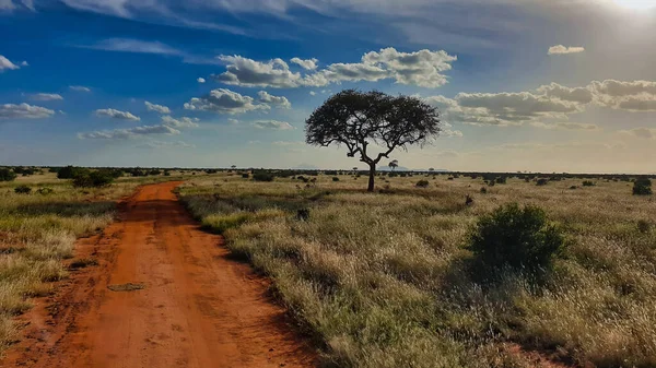 Trilhas Safari Estendem Até Distância Através Das Vastas Planícies Vermelhas — Fotografia de Stock