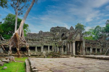 Preah Khan - 12. yüzyıl tapınağı Khmer Kralı Jayavarman VII tarafından inşa edildi tipik Angkor tarzıyla iç içe geçmiş tetrameles ağacı kökleri Siem Reap, Kamboçya, Asya