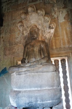 Adisesha 'daki Buda ya da Angkor Wat Tapınağı' ndaki Siem Reap, Kamboçya, Asya 'daki ilahi koruyucu yılan tanrısı.