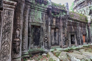 Ta Phrom 'un taş duvarları - Iconic 12. yüzyıl Angkor Khmer Tapınağı Jayavarman VII tarafından inşa edilmiş ve tapınak yapısıyla iç içe geçmiş, Angeline Jolie' nin Siem Reap, Kamboçya, Asya 'da oynadığı Tomb Raider filmiyle ünlü