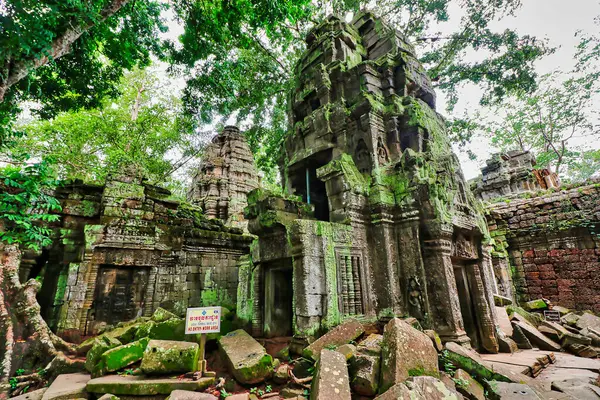 Ta Phrom 'un İç Manzarası - 12. yüzyıl Angkor Khmer Tapınağı Jayavarman VII tarafından inşa edilmiş ve tapınak yapısıyla iç içe geçmiş, Angeline Jolie' nin Siem Reap, Kamboçya, Asya 'da oynadığı Tomb Raider filmiyle ünlü