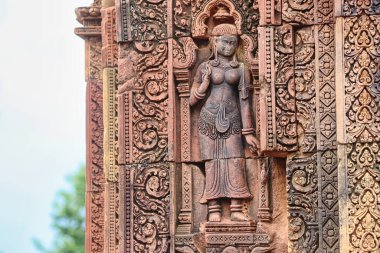 Khmer Apsara bas ferahlığı Banteay Srei 'de, 10. yüzyıl Hindu tapınağı Siem Reap, Kamboçya, Asya' da bir Khmer başyapıtı