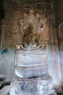 Adisesha 'daki Buda ya da Angkor Wat Tapınağı' ndaki Siem Reap, Kamboçya, Asya 'daki ilahi koruyucu yılan tanrısı.