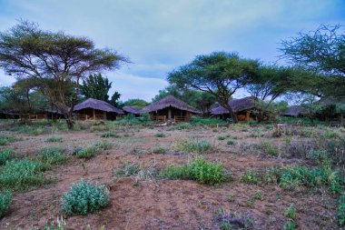 Amboseli Kibo Safari Loca çadırları Kenya 'daki Amboseli Ulusal Parkı' nda lüks konaklama olanağı sağlar.