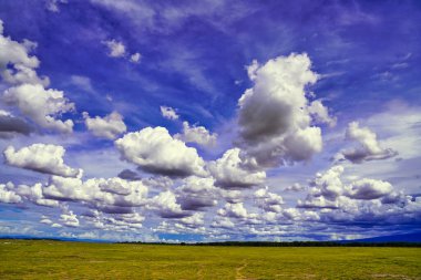 Kenya 'daki Amboseli Ulusal Parkı' nın engin çim düzlüklerinde açık mavi gökyüzüne karşı eşsiz bulut oluşumları