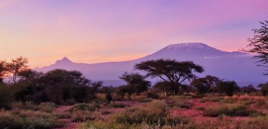 Kenya 'daki Amboseli Milli Parkı' nda sabahın erken saatlerinde gül ve mavi renkli gökyüzü ile Kilimanjaro Dağı 'nın sakin manzarası