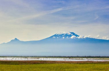 Uçsuz bucaksız Amboseli Ulusal Parkı 'nın üzerindeki Kilimanjaro Dağı kuleleri klasik Afrika sahnesine mükemmel bir zemin hazırlıyor..