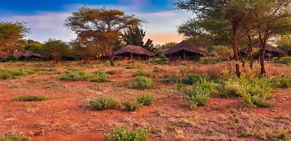 Amboseli Kibo Safari Lodge tents provide deluxe accommodation at the Amboseli National Park, Kenya