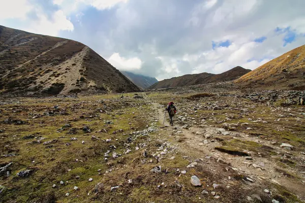 Gokyo köyüne giden bir yürüyüşçü, Çin sınırından önce Nepal 'in son köyü ve Nepal' in Khumbu bölgesindeki Cho Oyu ana kampına yürüyüş için üs.