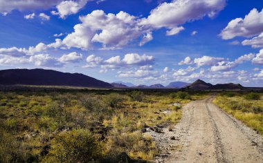 Samburu 'daki oyun parkurları Kenya' nın kuzeyinin ücra bir köşesinde Samburu İlçesi 'ndeki Buffalo Springs Reserve' de kayan tepeler ve savana manzaralarıyla en iyi oyun görüntülerini sunuyor.