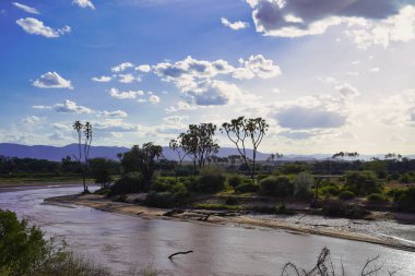 Kenya Dağı 'nın buzullarından çıkan Ewaso Ngiro nehri Kenya' nın Samburu İlçesi 'ndeki Buffalo Springs Reserve' de görülen muazzam Samburu rezervinin kavrulmuş savanasına su getirir.