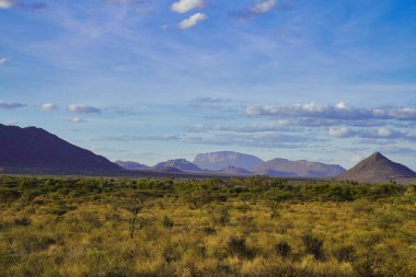 Samburu kabilesi için kutsal olan Ololokwe Dağı ve piramit biçimli Lolpopong Kenya 'daki Buffalo Springs Reserve' deki klasik manzara manzarasında görülen geniş Samburu rezervini vurguluyor.