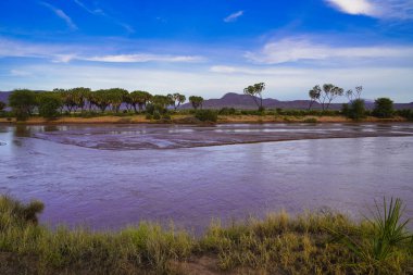 Kenya, Samburu 'daki Buffalo Springs Reserve' de açık mavi bir günde Ewaso Ngiro nehrinin panoramik manzarası Samburu rezervinin kalbinden akıyor.