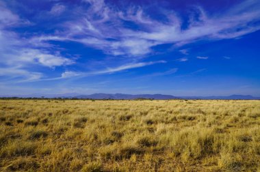 Kenya 'nın Samburu İlçesi' ndeki Buffalo Springs Rezervi 'ndeki muhteşem Samburu rezervinin uçsuz bucaksız ve kurak çim ovalarının üzerinde ince bulutlu parlak mavi gökyüzü.