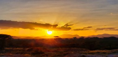 Kenya, Samburu 'daki Buffalo Springs Reserve' de akasya ağaçları ve görkemli yaban hayatı ile kaplı manzaralı Samburu rezervinin üzerinde yakıcı bir günbatımı görülüyor.
